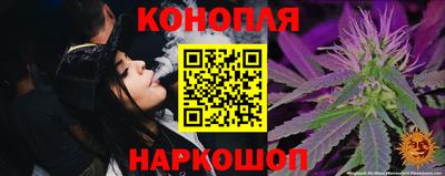 прущие крисы Нарткала