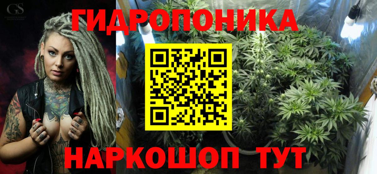 Конопля Bruce Banner  Бошки марихуана гибрид  Канабис планчик  Вход с VPN  Ставрополь 